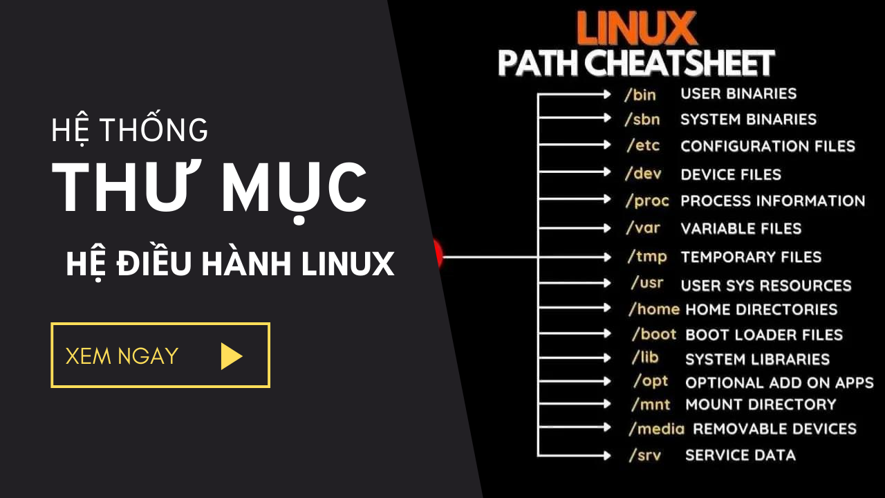 Hệ thống thư mục Linux – Linux Path