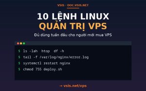 10 lệnh Linux quản trị VPS phải biết trong tuần đầu