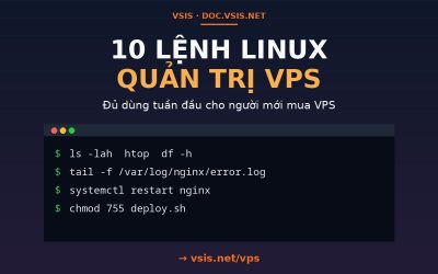 10 lệnh Linux quản trị VPS phải biết trong tuần đầu