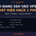 Xem ai đang đăng nhập VPS + lịch sử login (phát hiện hack sớm)