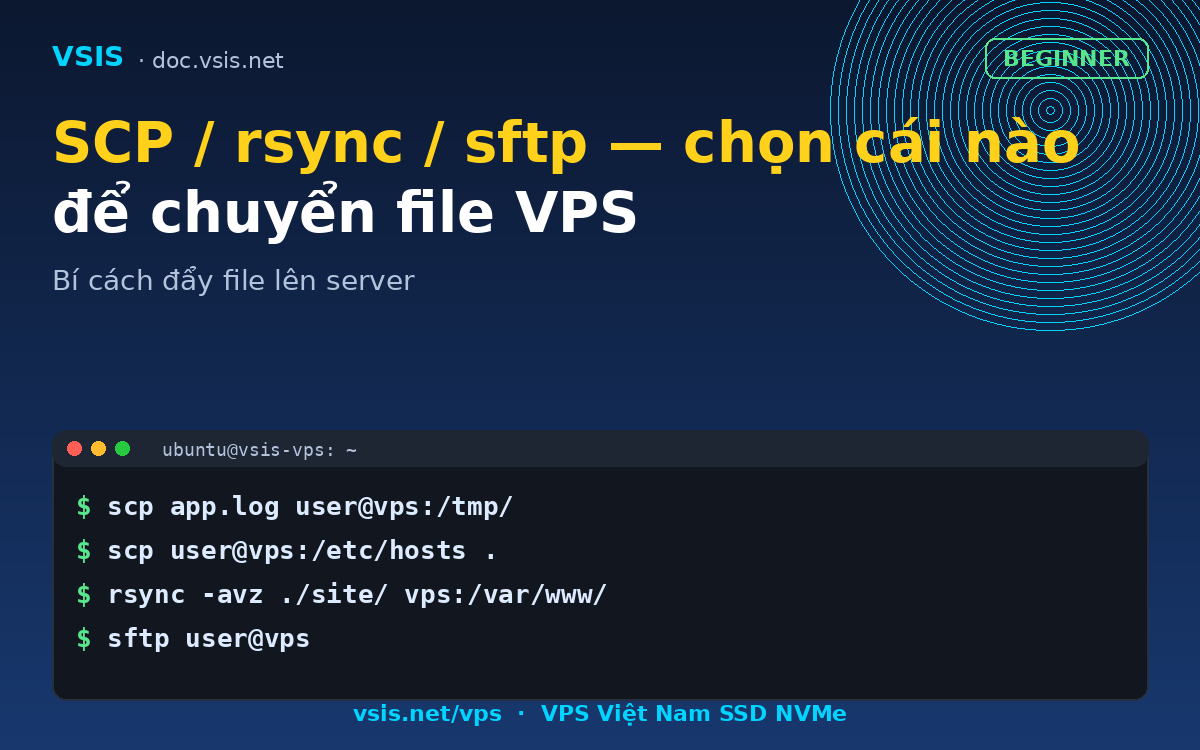 SCP / rsync / sftp — chọn cái nào để chuyển file VPS