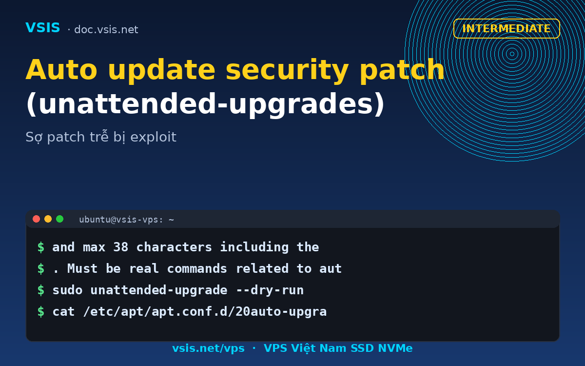 Auto update security patch (unattended-upgrades)