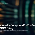 Vì sao email vào spam dù đã cấu hình SPF/DKIM đúng